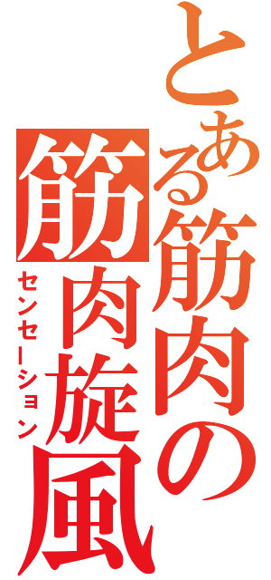 とある筋肉の筋肉旋風（センセーション）