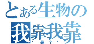 とある生物の我靠我靠（这是个啥）