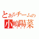 とあるチームの小嶋陽菜（トリゴヤ）