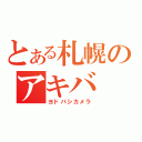 とある札幌のアキバ（ヨドバシカメラ）