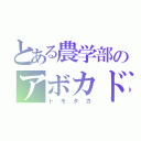 とある農学部のアボカド研究者（トモタカ）