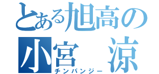 とある旭高の小宮 涼（チンパンジー）