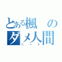 とある楓のダメ人間（ニート）