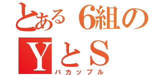 とある６組のＹとＳ（バカップル）