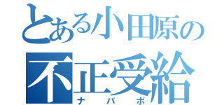 とある小田原の不正受給者（ナバポ）