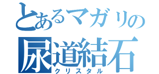 とあるマガリの尿道結石（クリスタル）