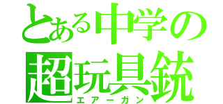 とある中学の超玩具銃（エアーガン）