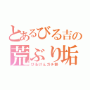 とあるびる吉の荒ぶり垢（びるけんガチ勢）