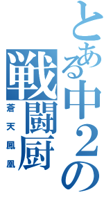 とある中２の戦闘厨（蒼天鳳凰）