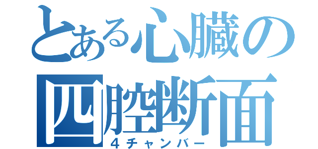 とある心臓の四腔断面（４チャンバー）