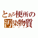 とある便所の汚染物質（う○こ）