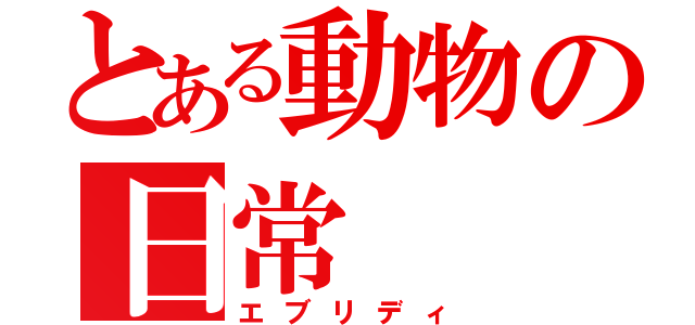 とある動物の日常（エブリディ）