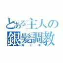 とある主人の銀髪調教（薄い本）