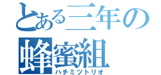 とある三年の蜂蜜組（ハチミツトリオ）