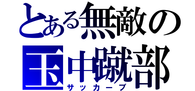 とある無敵の玉中蹴部（サッカーブ）