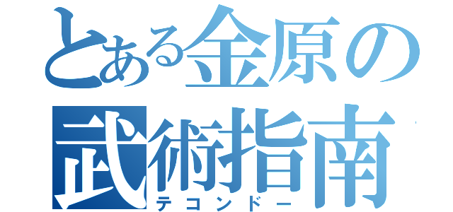 とある金原の武術指南（テコンドー）