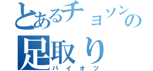 とあるチョソンの足取り（パイオツ）