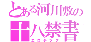 とある河川敷の十八禁書（エロチック）