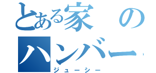 とある家のハンバーグ（ジューシー）