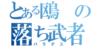 とある鴎の落ち武者（パラデス）