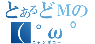 とあるどＭの（゜ω゜）（ニャンポコー）