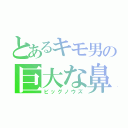 とあるキモ男の巨大な鼻（ビッグノウズ）