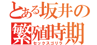 とある坂井の繁殖時期（セックスゴリラ）