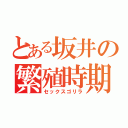 とある坂井の繁殖時期（セックスゴリラ）