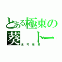 とある極東の葵　トーリ（全可能男）