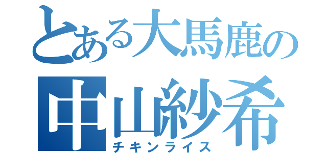 とある大馬鹿の中山紗希（チキンライス）