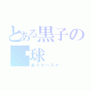 とある黒子の篮球（黒子のバスケ）