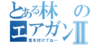 とある林のエアガンⅡ（気を付けてねー）