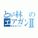 とある林のエアガンⅡ（気を付けてねー）