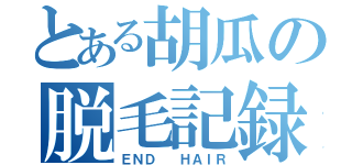 とある胡瓜の脱毛記録（ＥＮＤ  ＨＡＩＲ）