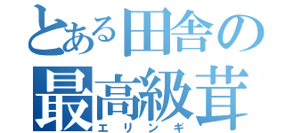 とある田舎の最高級茸（エリンギ）