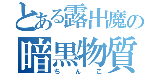 とある露出魔の暗黒物質（ちんこ）