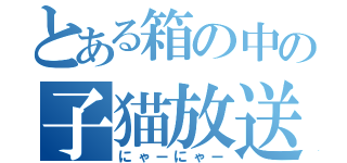 とある箱の中の子猫放送（にゃーにゃー）