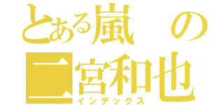 とある嵐の二宮和也（インデックス）