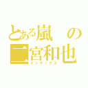 とある嵐の二宮和也（インデックス）