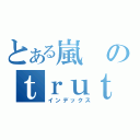 とある嵐のｔｒｕｔｈ（インデックス）