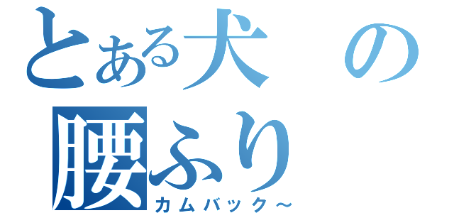 とある犬の腰ふり（カムバック～）