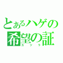 とあるハゲの希望の証（カツラ）