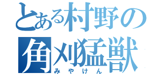 とある村野の角刈猛獣（みやけん）