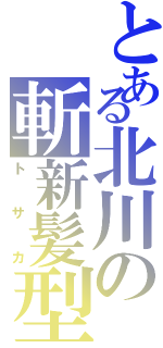 とある北川の斬新髪型（トサカ）