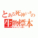 とある死神いきの生物標本（ホルマリン漬け）