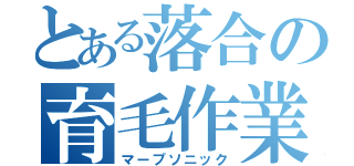 とある落合の育毛作業（マープソニック）