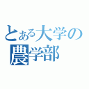 とある大学の農学部（）