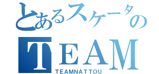 とあるスケーターのＴＥＡＭ納豆（ＴＥＡＭＮＡＴＴＯＵ）