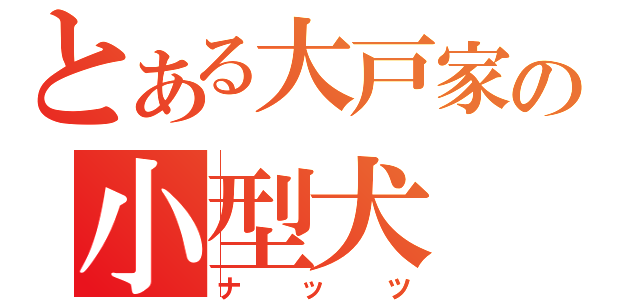 とある大戸家の小型犬（ナッツ）