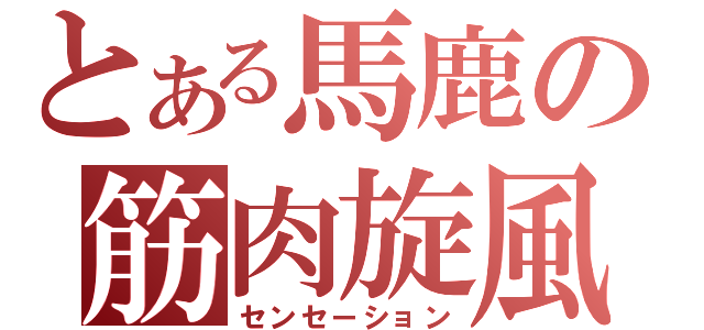 とある馬鹿の筋肉旋風（センセーション）